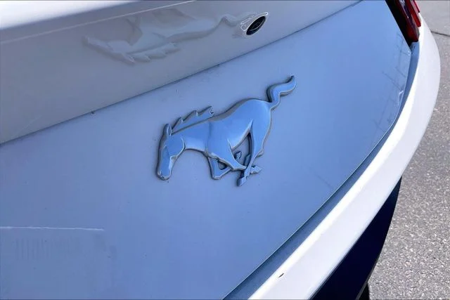 Used 2024 White Ford EcoBoost Premium image 33