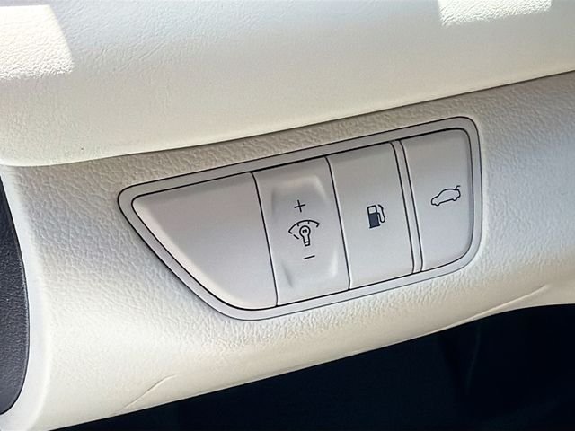 New 2026 White Genesis 2.5T image 10