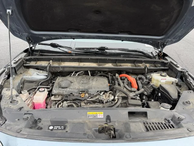 Used 2022 Moon Dust Toyota XLE image 24