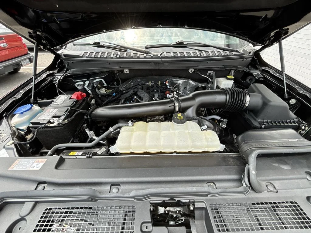 Used 2024 Black Ford Platinum image 18
