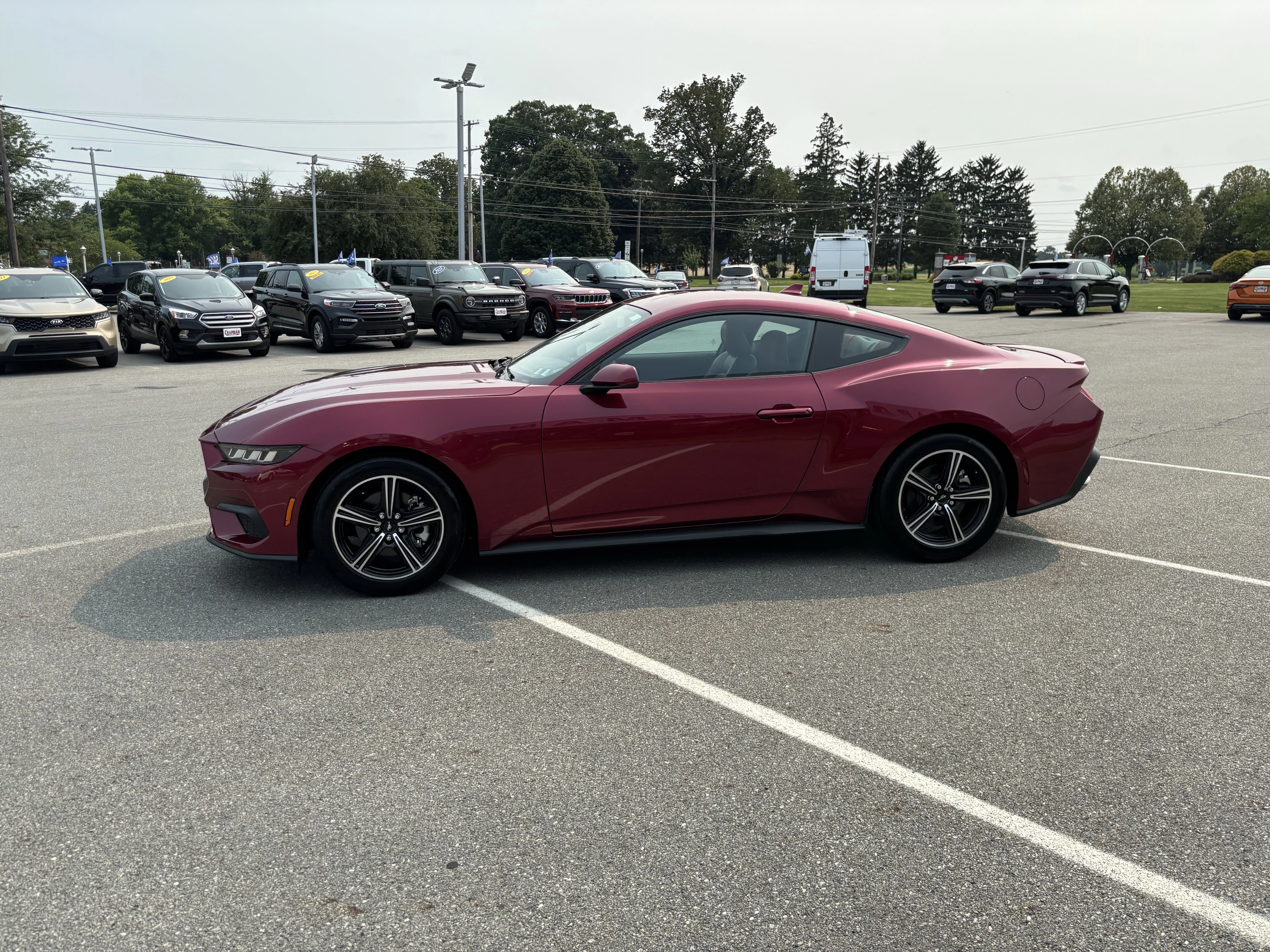 Used 2025 Magenta Ford EcoBoost Premium image 4