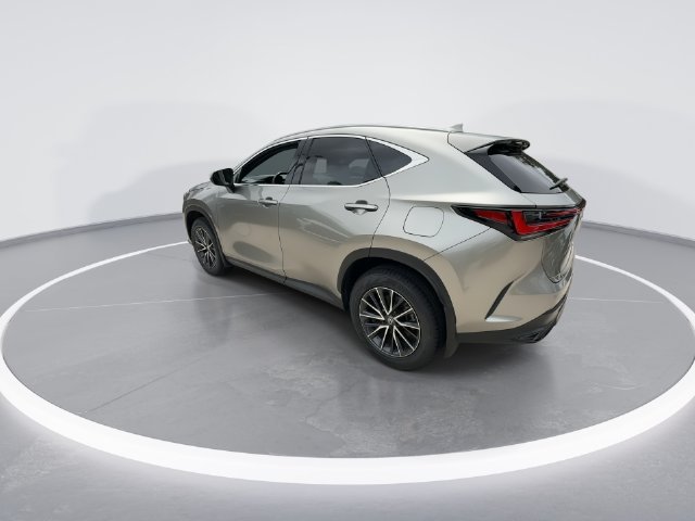 2025 Lexus NX 250 - Photo 6