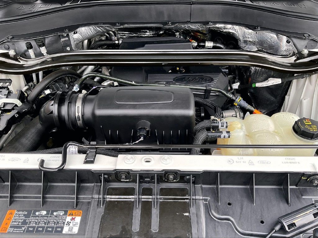Used 2020 White Ford Limited image 30