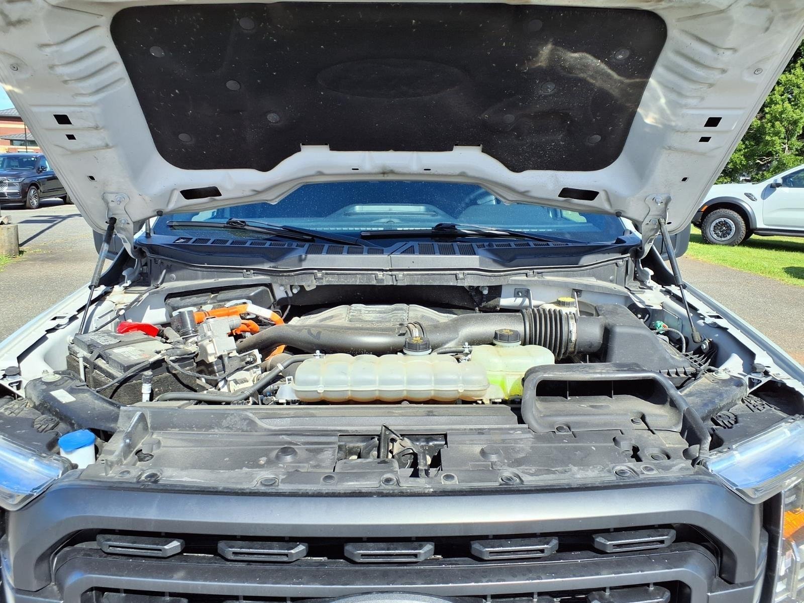 Used 2023 Avalanche Ford XLT image 28