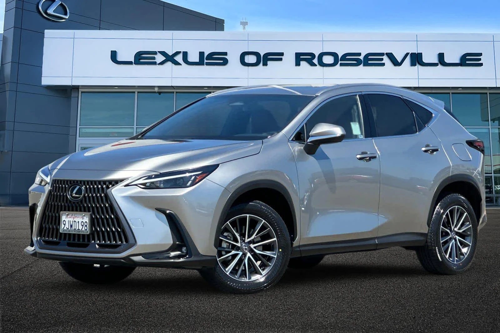 2024 Lexus NX 350h 350h AWD's photo