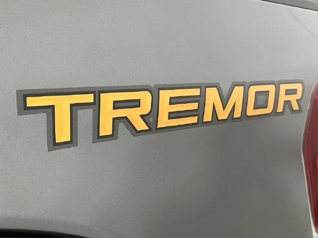 New 2026 Gray Ford Tremor image 27