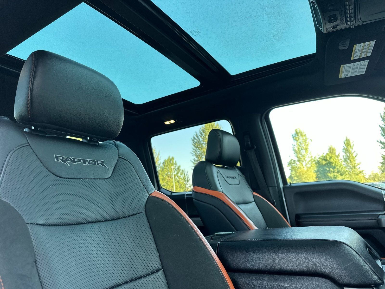 Used 2018 White Ford Raptor image 16