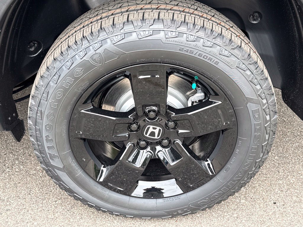 New 2026 Crystal Black Pearl Honda Black Edition image 11