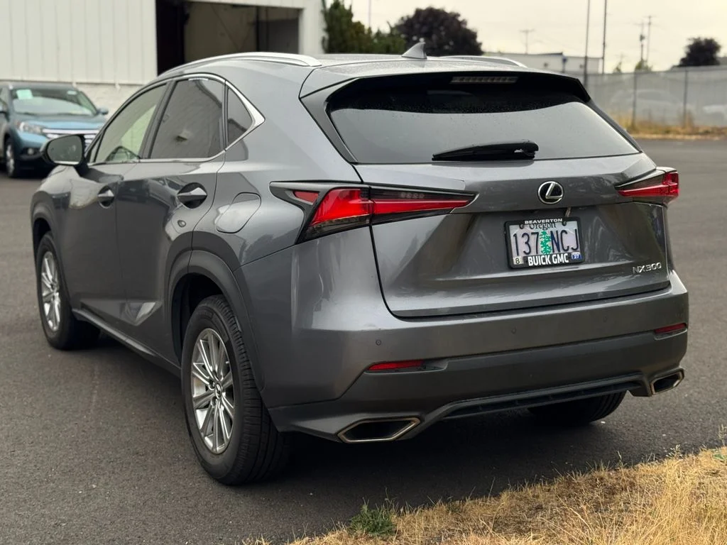 Used 2019 Atomic Silver Lexus 300 Base image 2