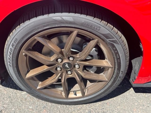 New 2026 Race Red Ford EcoBoost® Fastback image 9