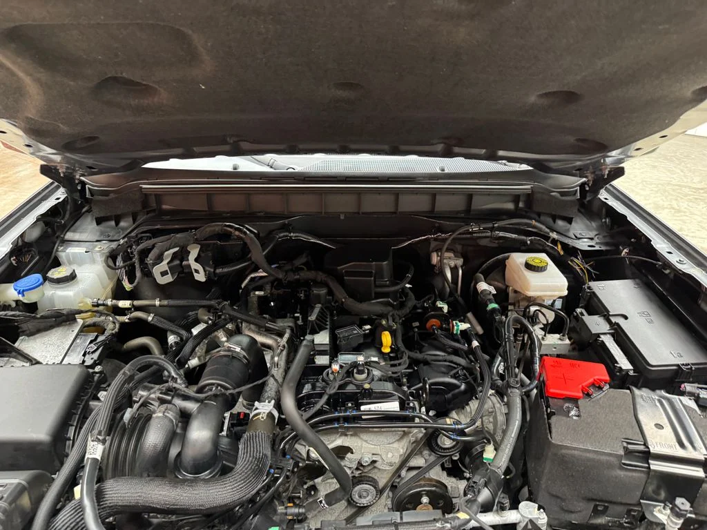 Photo 25