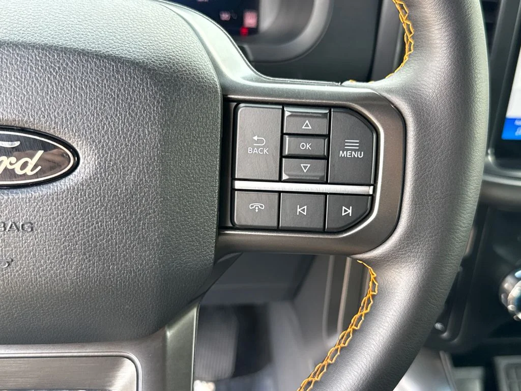 2025 Ford F-150 Tremor - Photo 20