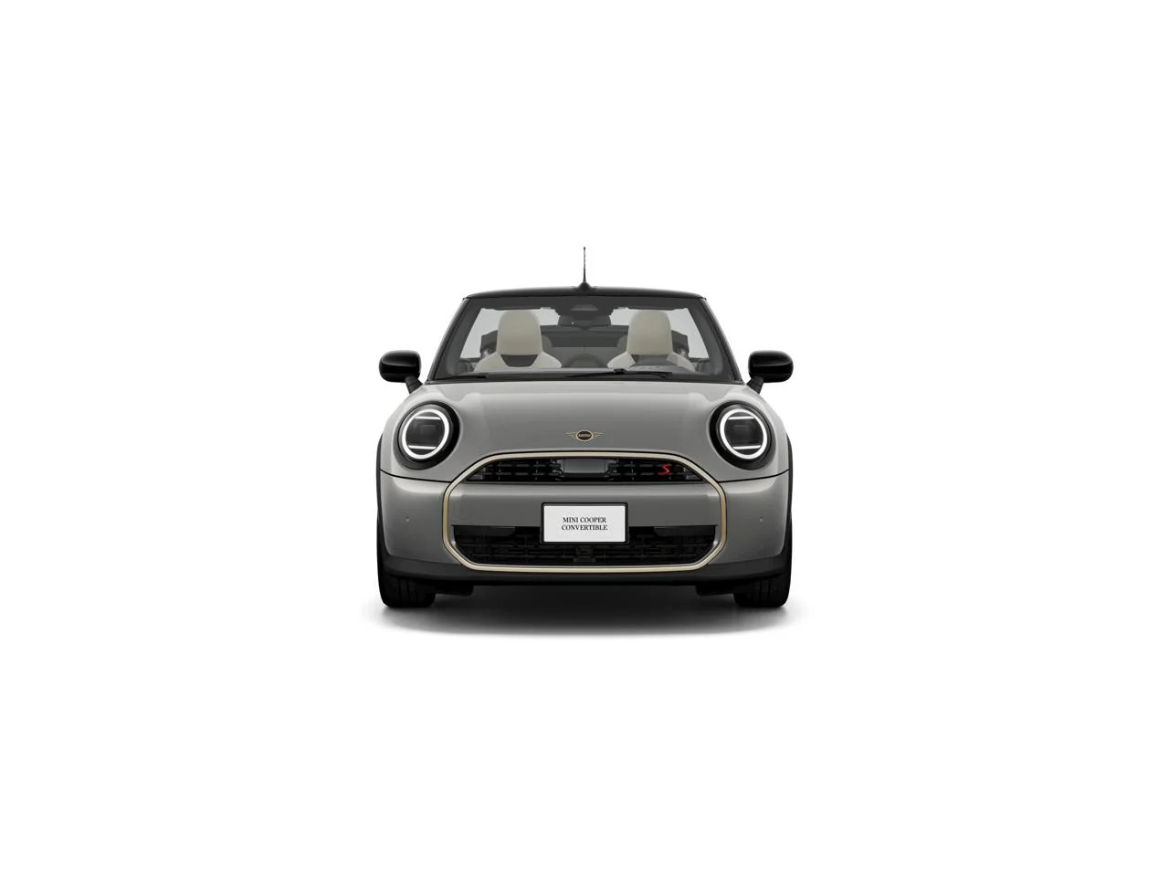New 2026 Melting Silver Iii Metallic MINI Signature Plus image 2