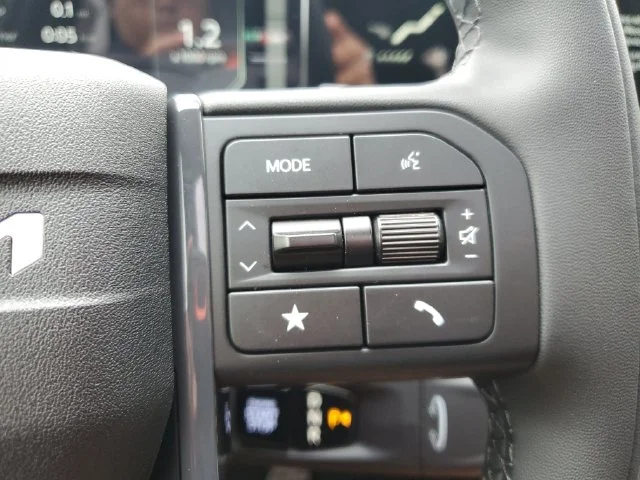 New 2027 Wolf Gray Kia X-LINE SX PRESTIGE image 22