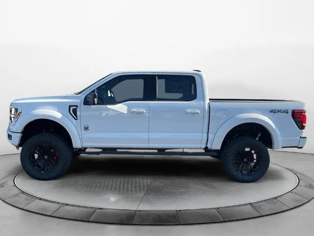 New 2025 Oxford White Ford XLT image 2