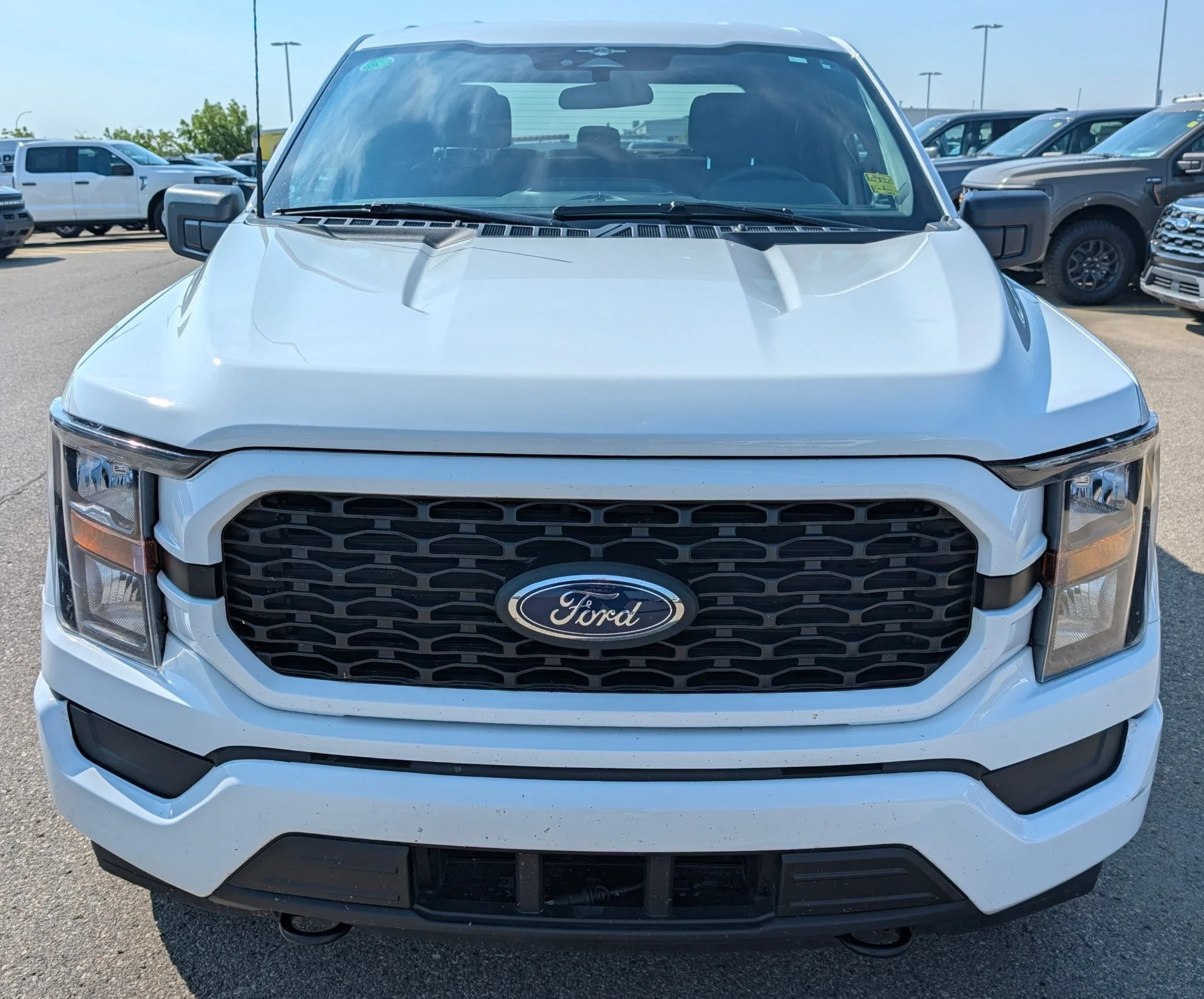 Used 2023 WHITE Ford XL SuperCrew   EcoBoost™ image 8