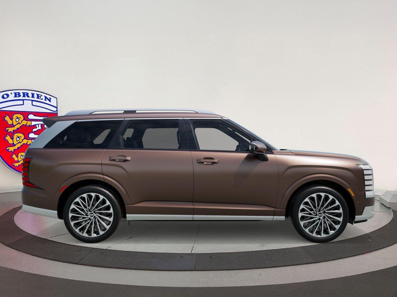 New 2026 Earthy Brass Matte Hyundai Calligraphy image 45