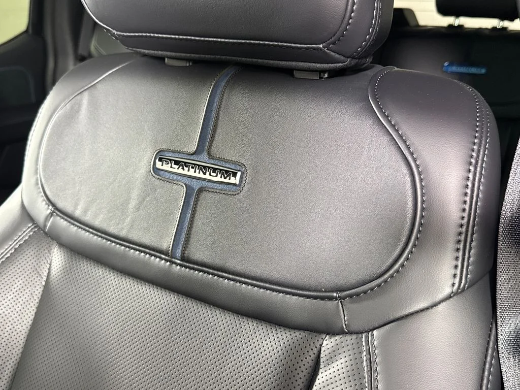 New 2026 Black Ford Platinum image 23