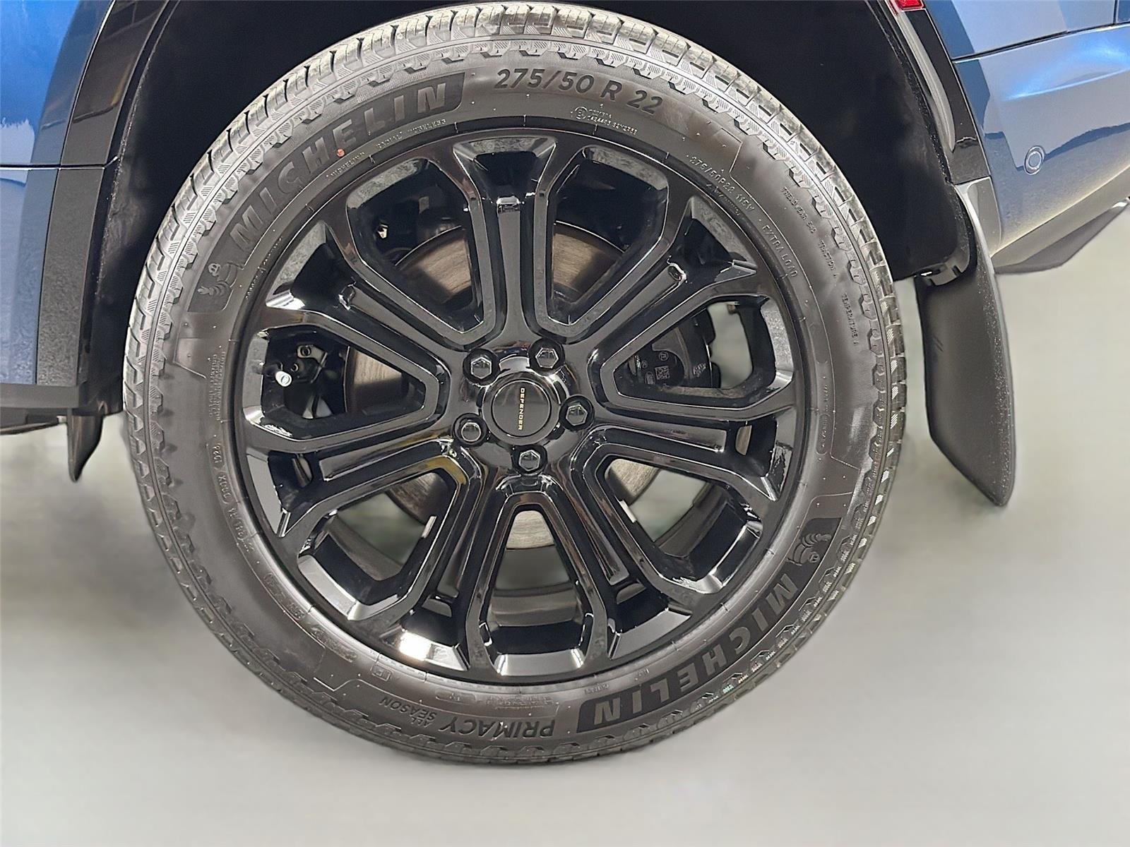 New 2026 Sargasso Blue LAND ROVER  OCTA image 30