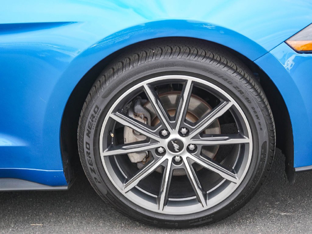 Used 2019 Blue Ford EcoBoost Premium image 9