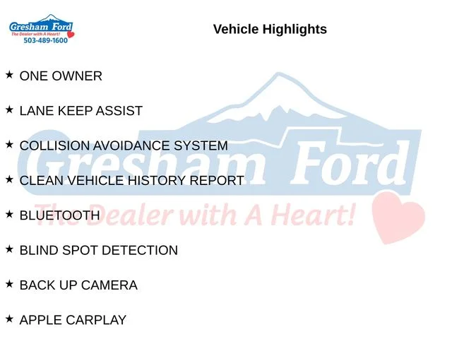 Used 2019 Ingot Silver Ford Lariat image 9