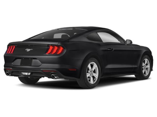 Used 2020 Shadow Black Ford EcoBoost image 2