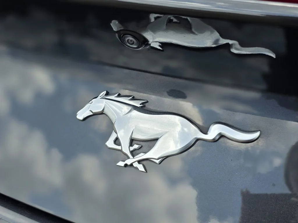 Used 2024 Gray Ford EcoBoost Premium image 33