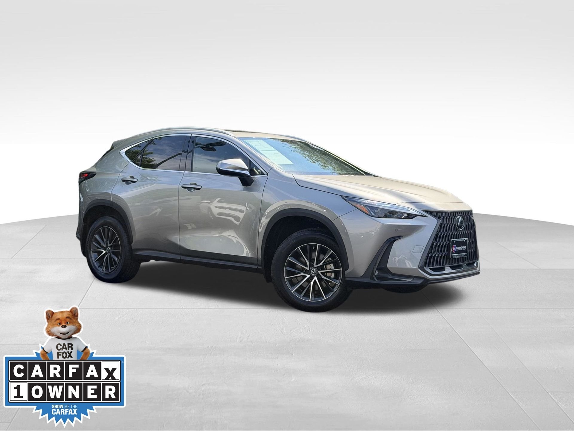 2023 Lexus NX 350h 350h Premium AWD's photo