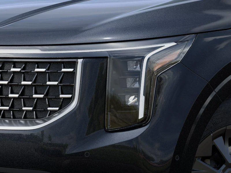 New 2026 Panthera Metal Kia SX image 10