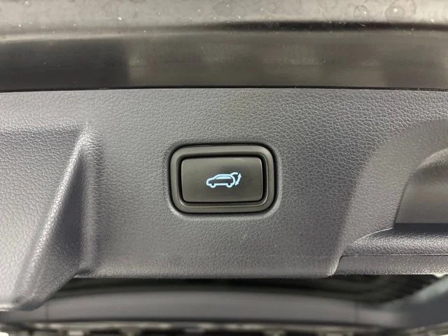 Used 2023 Black Hyundai Calligraphy image 46