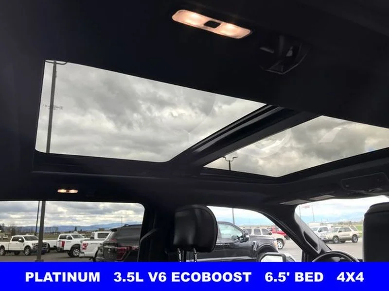 Certified Used 2020 Magnetic Metallic Ford Platinum image 20