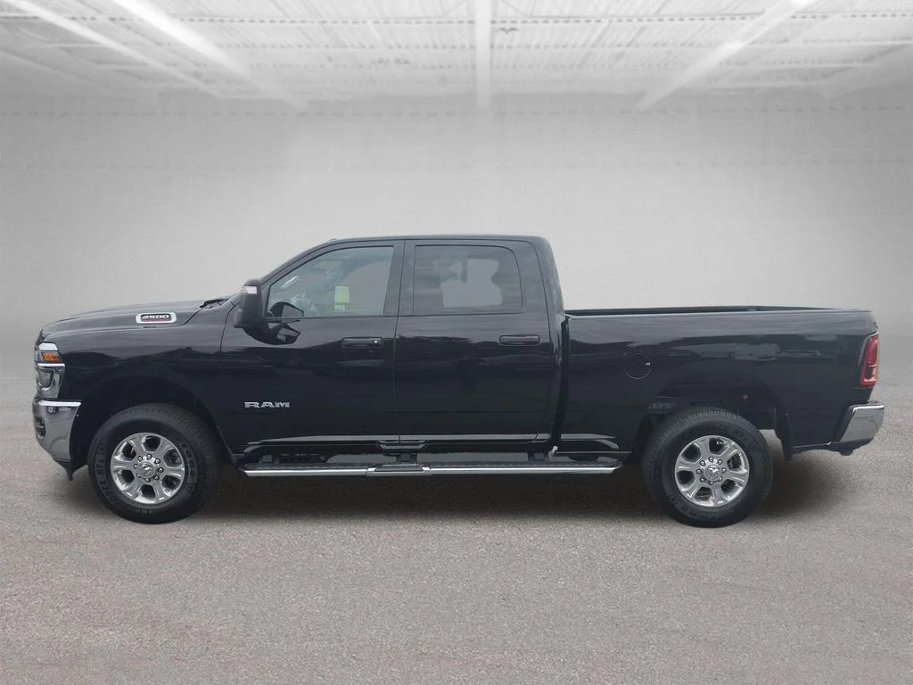 Used 2026 Black Ram Big Horn image 2