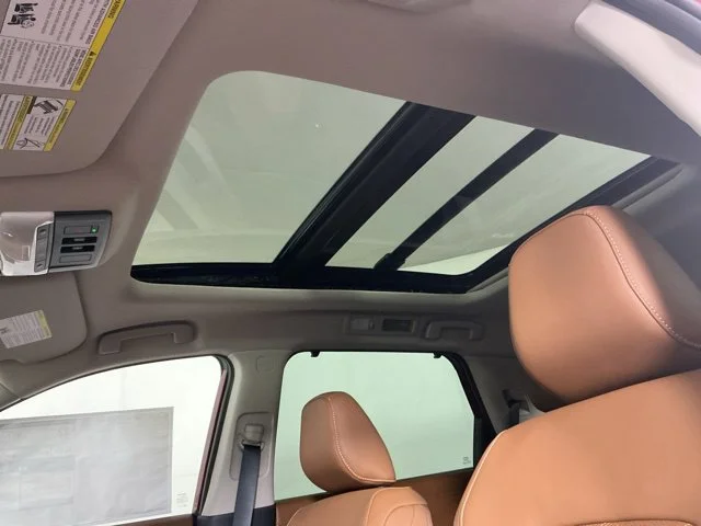 New 2026 Red Nissan Platinum image 18