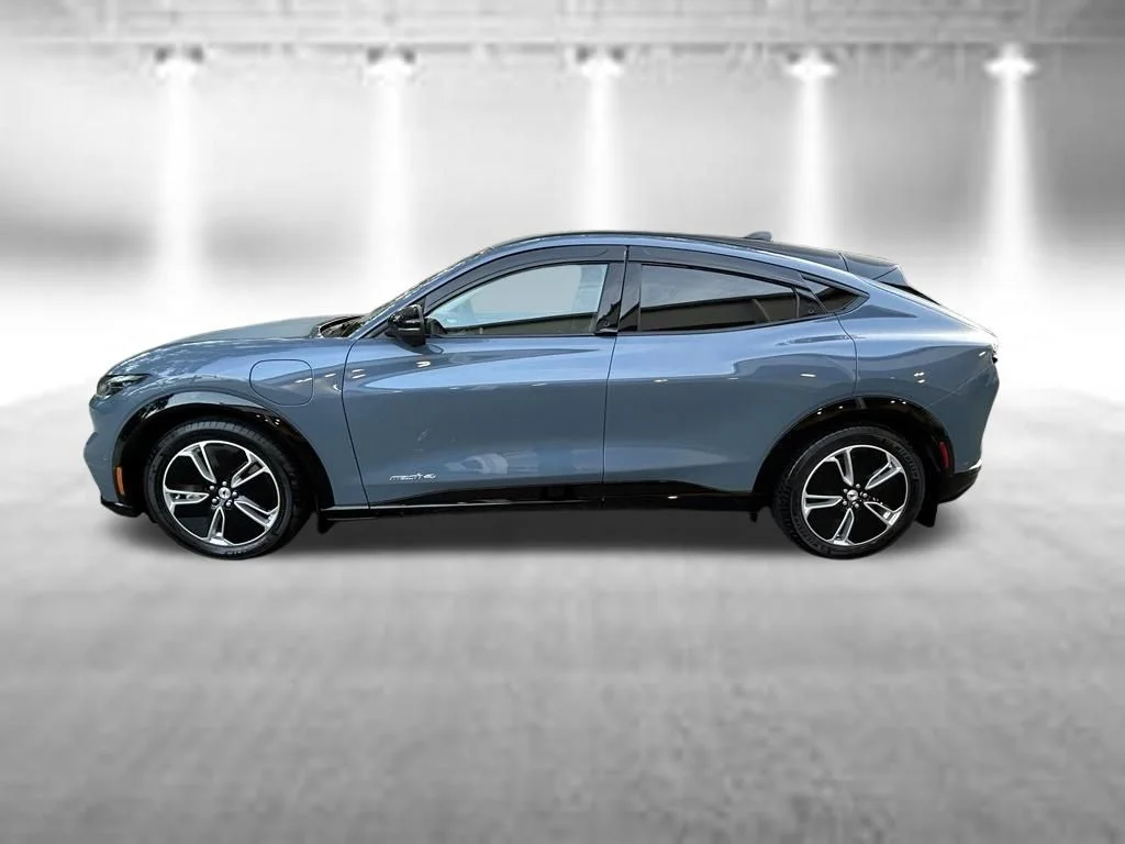 Used 2023 Blue Metallic Ford Premium image 8
