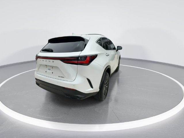 2025 Lexus NX 250 - Photo 7