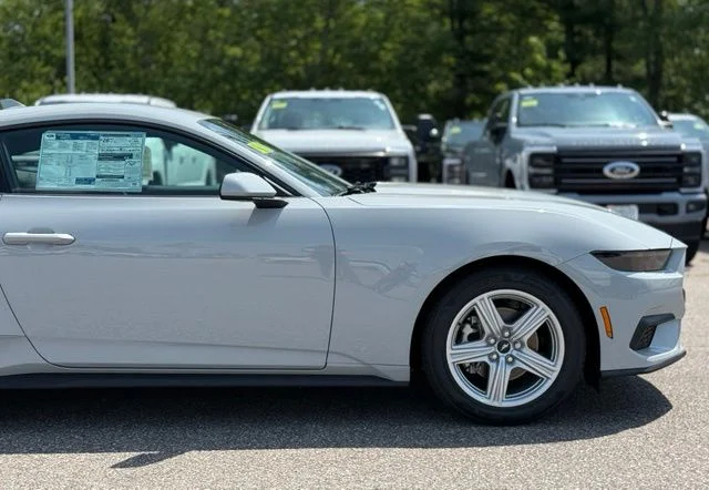 New 2026 Avalanche Gray Ford EcoBoost® Fastback image 2