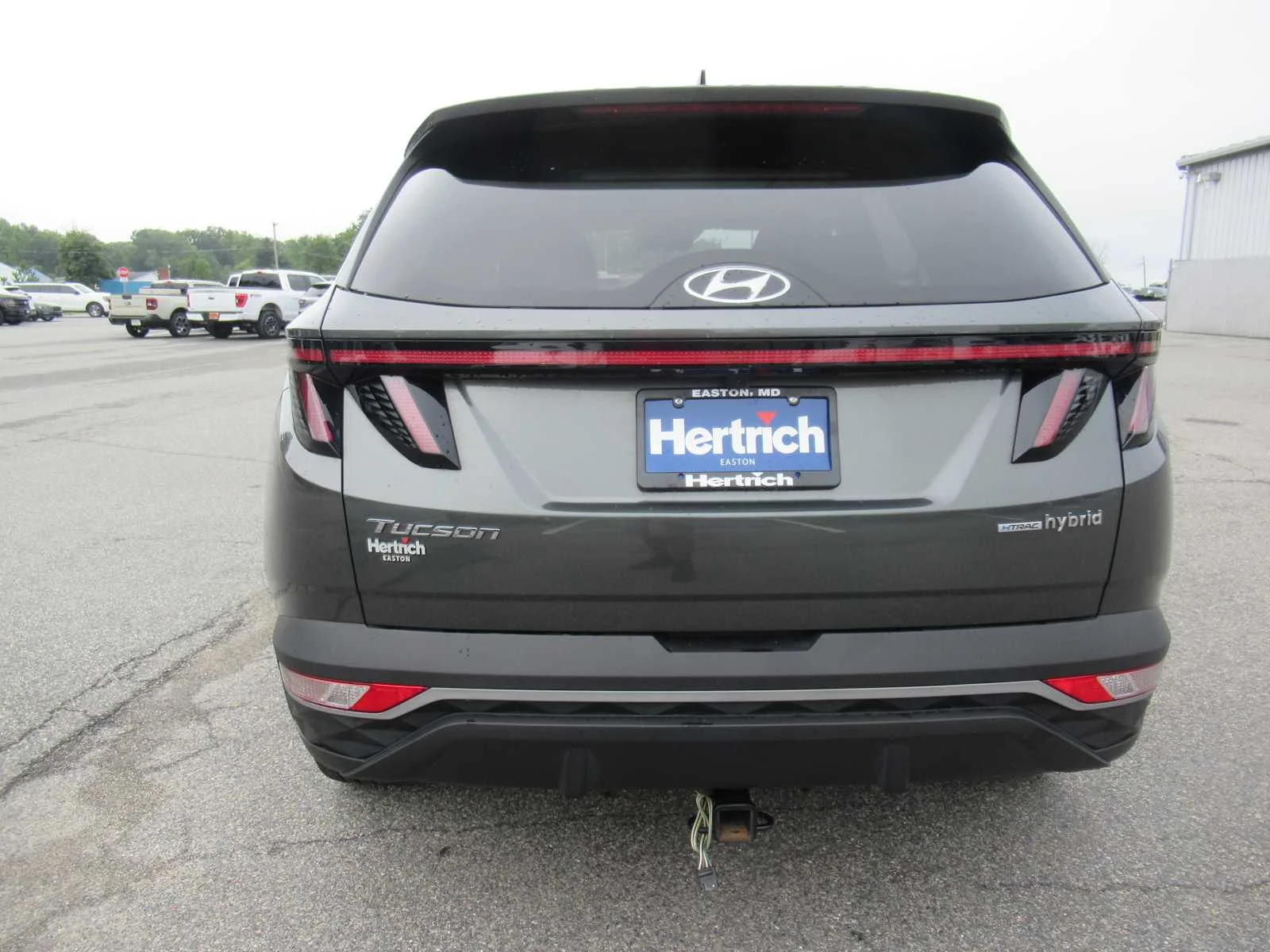 Used 2024 Amazon Gray Hyundai SEL Convenience image 6