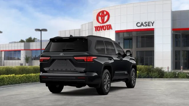 New 2026 Black Toyota Platinum image 14