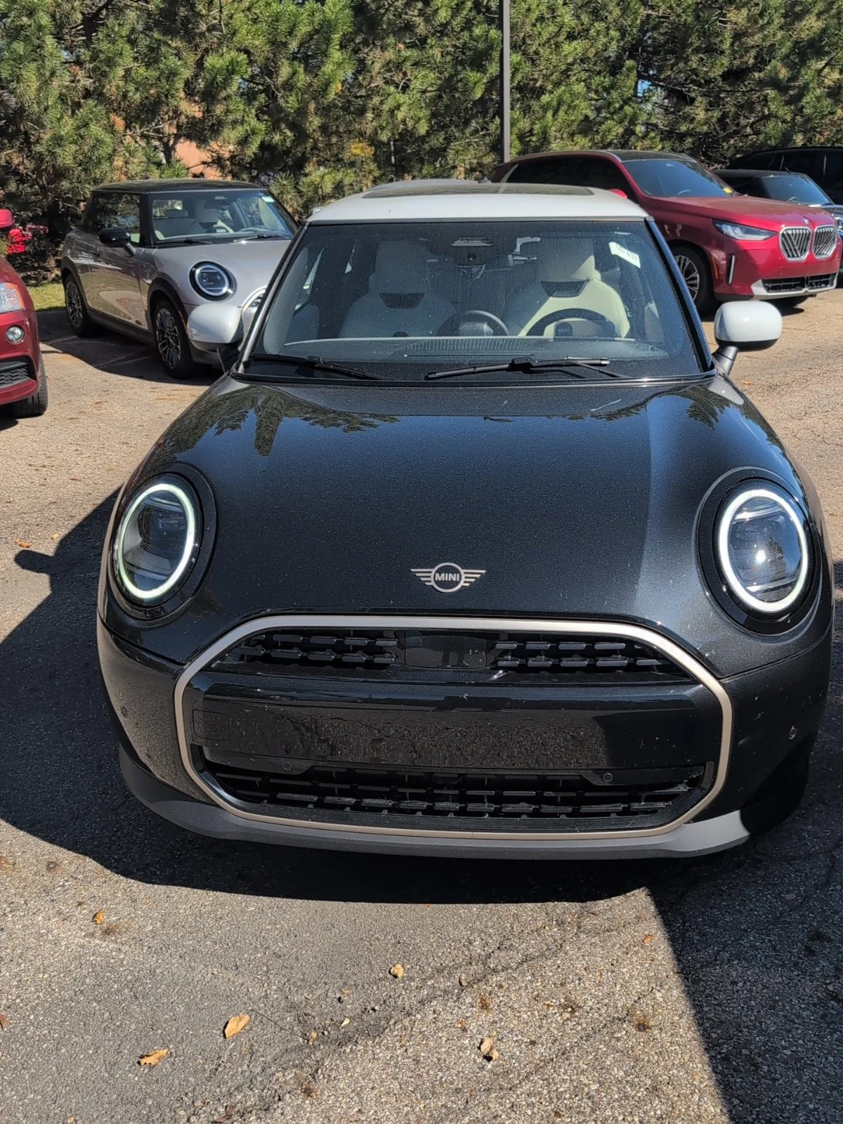 Used 2026 Black MINI  image 6