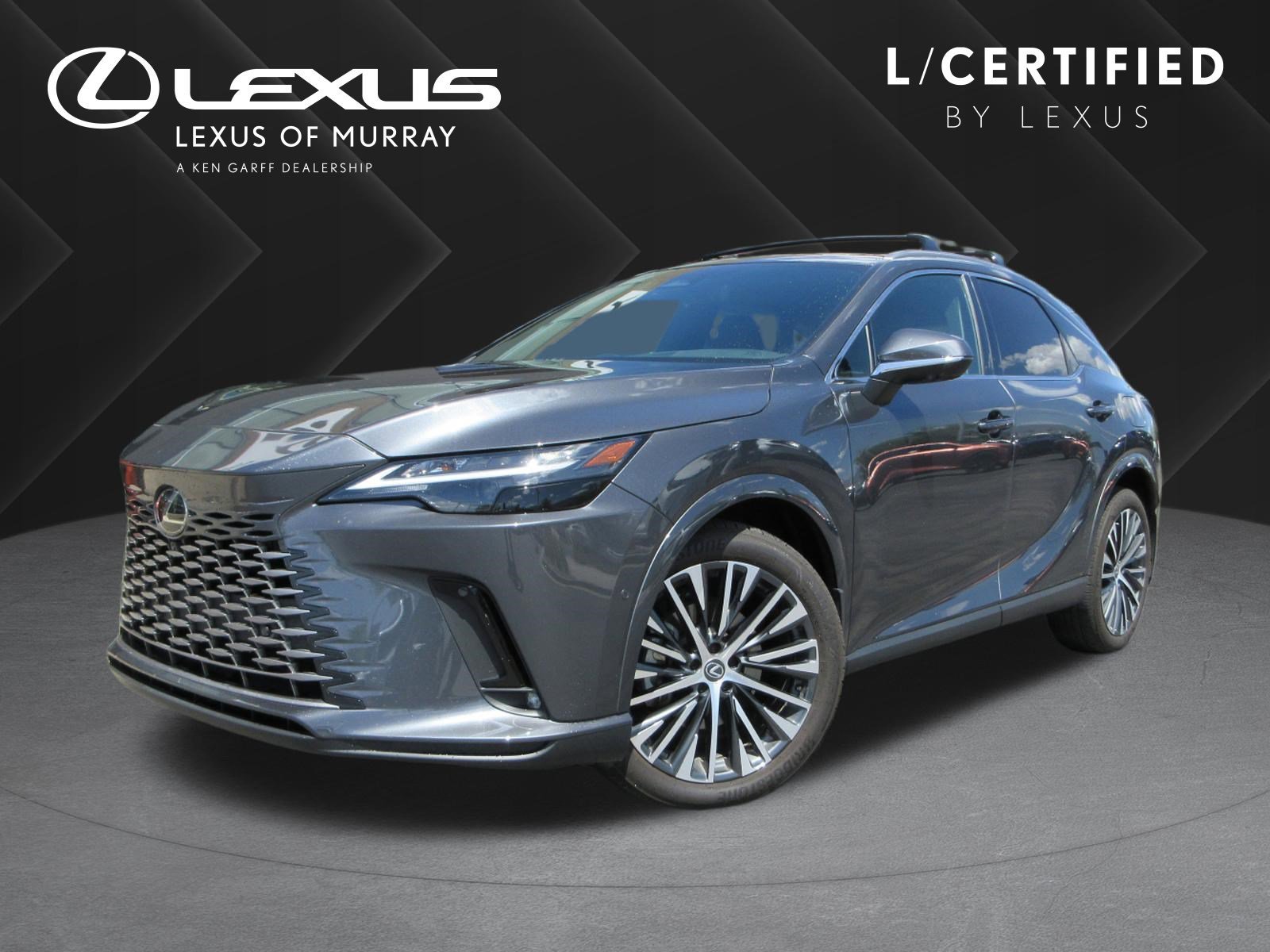 2025 Lexus RX 350h 350h Premium Plus AWD's photo