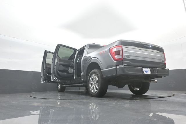 Used 2023 Gray Ford Platinum image 47