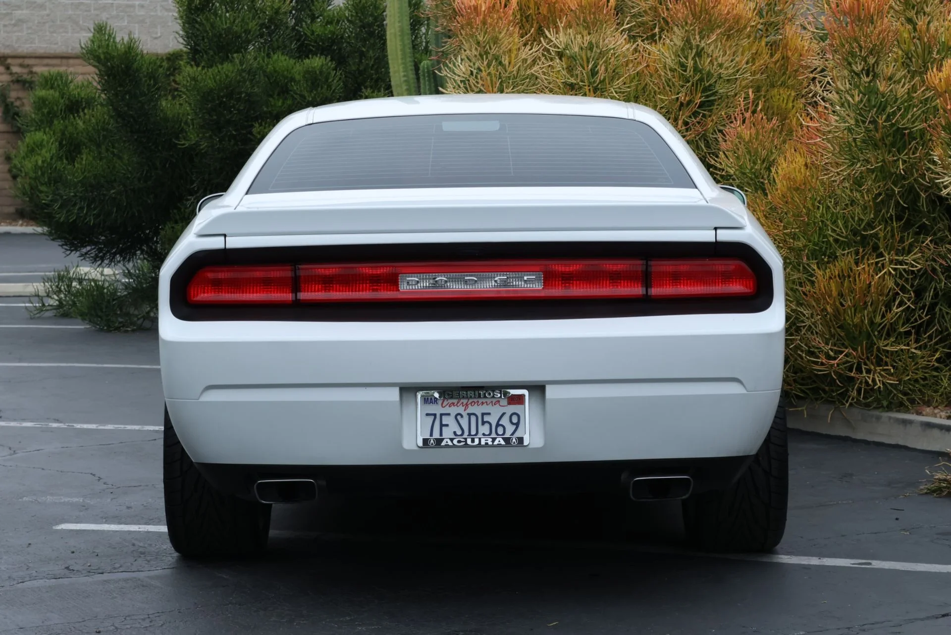 Used 2013 White Dodge SXT image 4