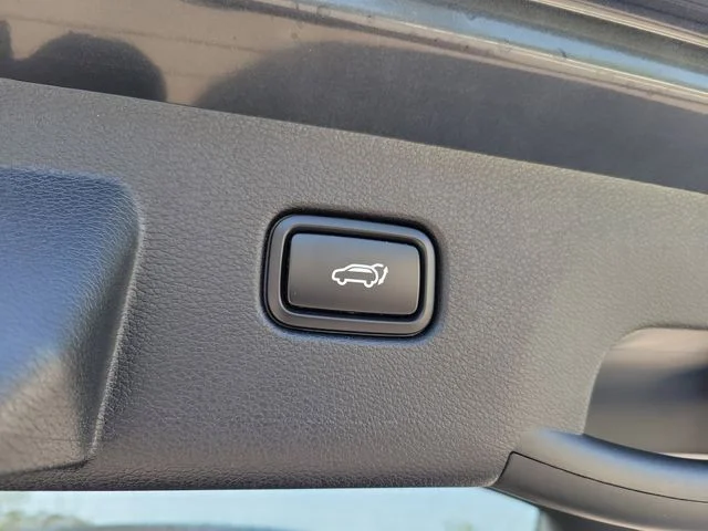 New 2026 Panthera Metal Kia EX image 28