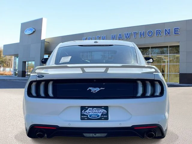 Used 2019 Oxford White Ford EcoBoost Premium image 5