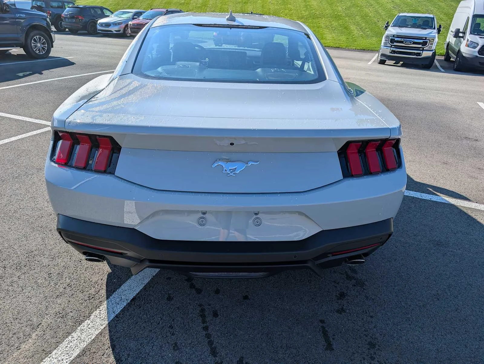 New 2026 Avalanche Gray Ford EcoBoost® Premium Fastback image 8