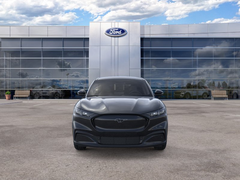 New 2026 Shadow Black Ford Premium image 7