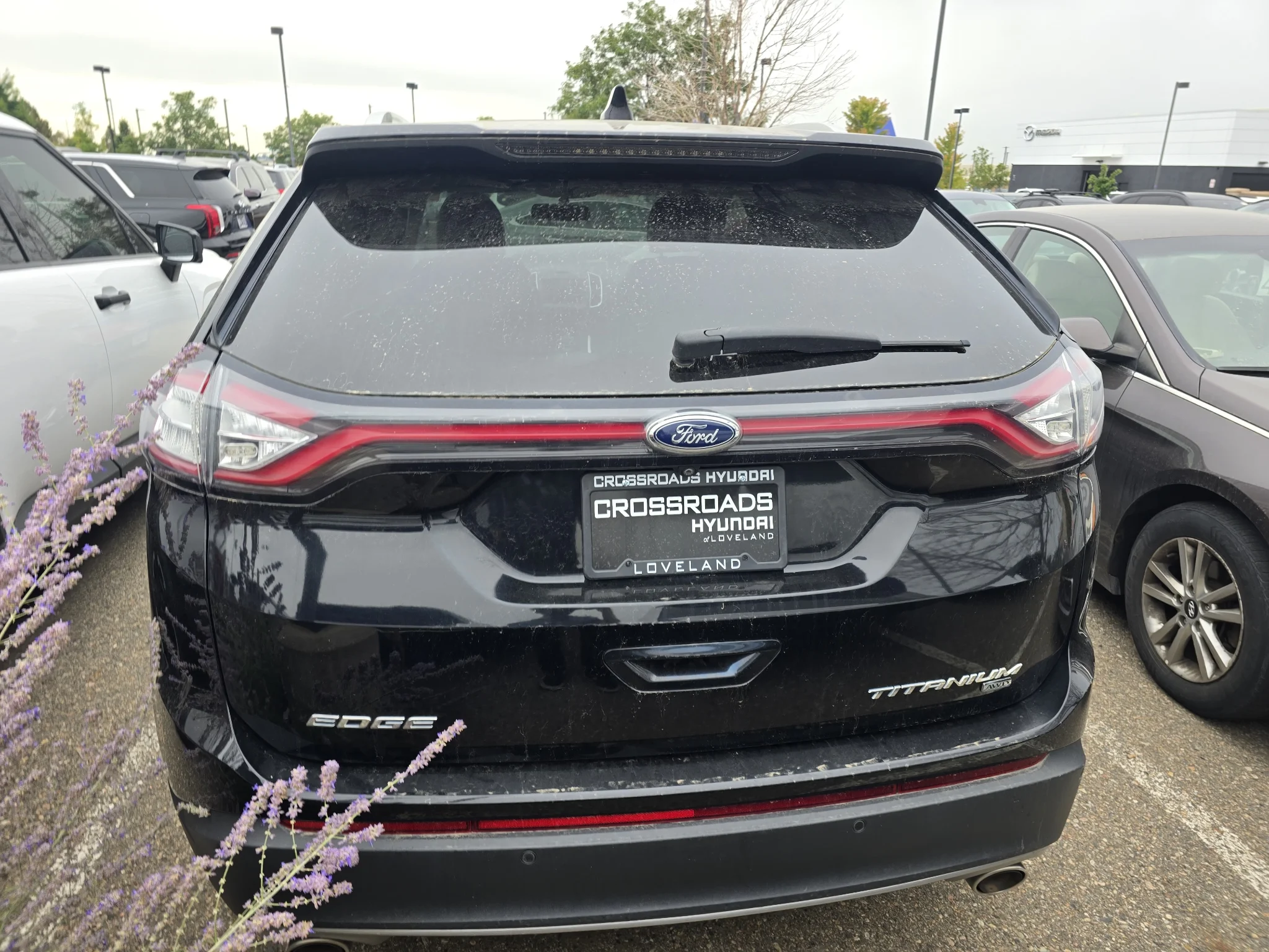 Used 2016 Shadow Black Ford Titanium image 5