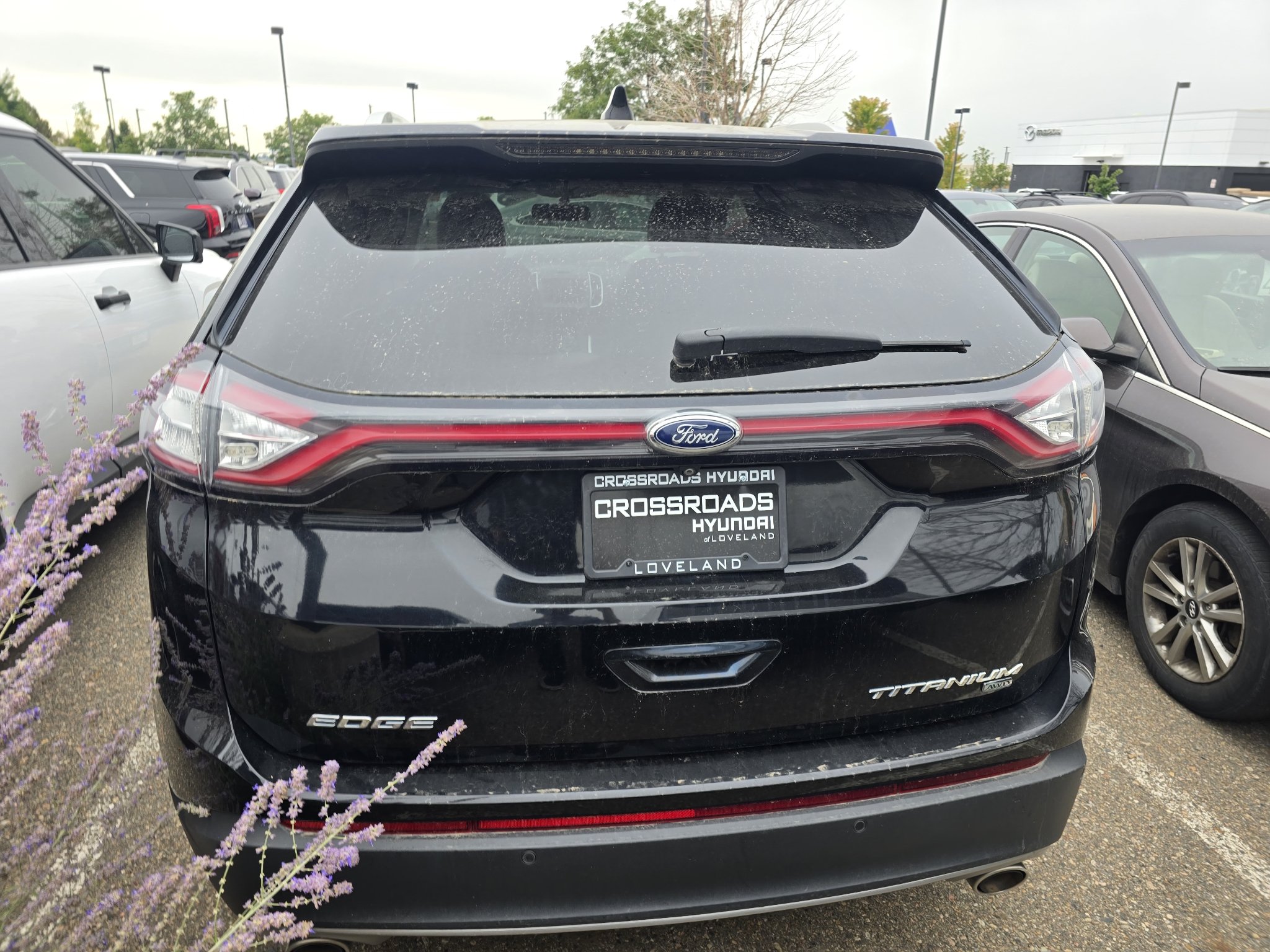 Used 2016 Shadow Black Ford Titanium image 4
