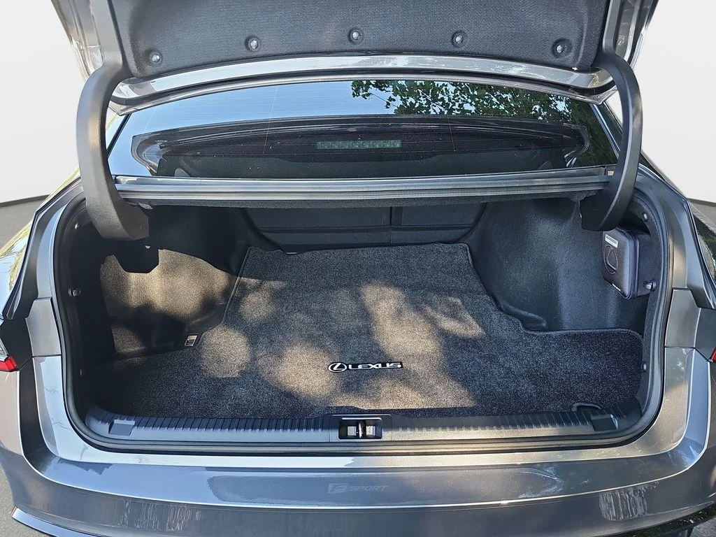 Used 2025 CLOUDBURST GRAY Lexus 300 image 13