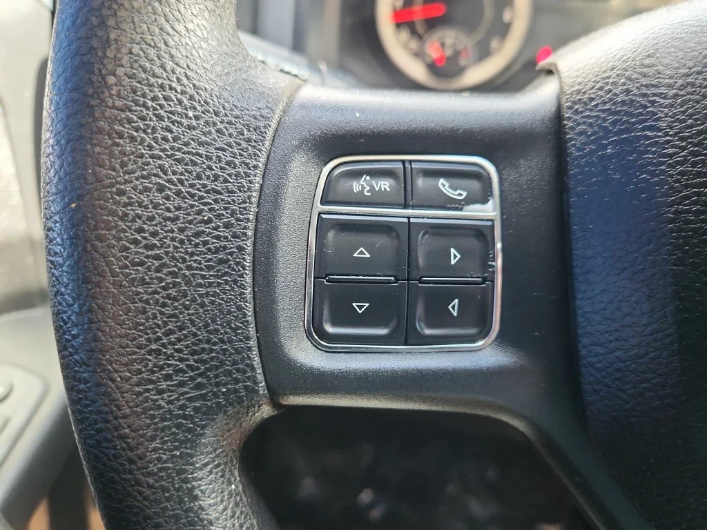 Used 2017 Black Ram Express image 23